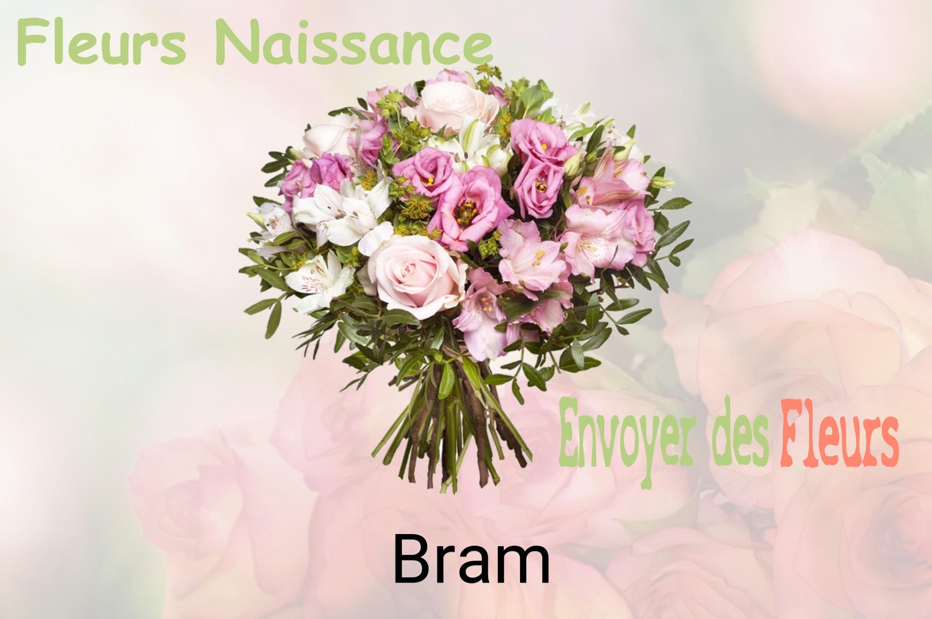 Bouquet de fleurs de naissance livré à Bram